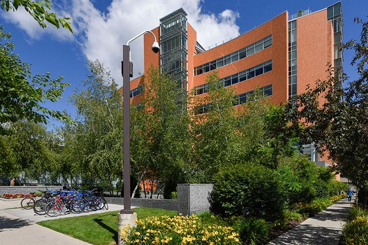 Campus in the summer