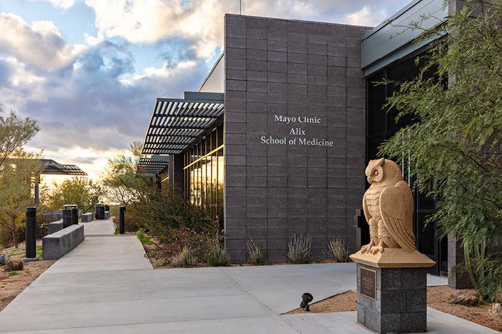 Medical students step up to fill in gaps during COVID-19 response