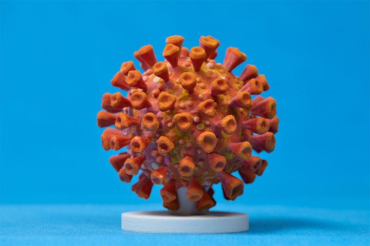 Regenerative sciences students show resilience despite research disruptions due to COVID-19