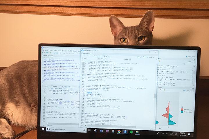 Meet my research: Taylor Weiskittel