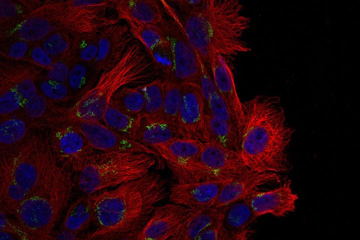 Meet my research: Lindy Pence