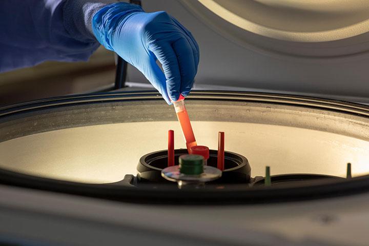 Ph.D. graduates share experience tackling heart disease research in Mayo Clinic laboratories