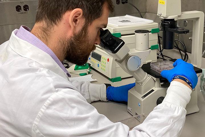 Mayo Clinic graduate students tackle research on obesity and fatty liver disease