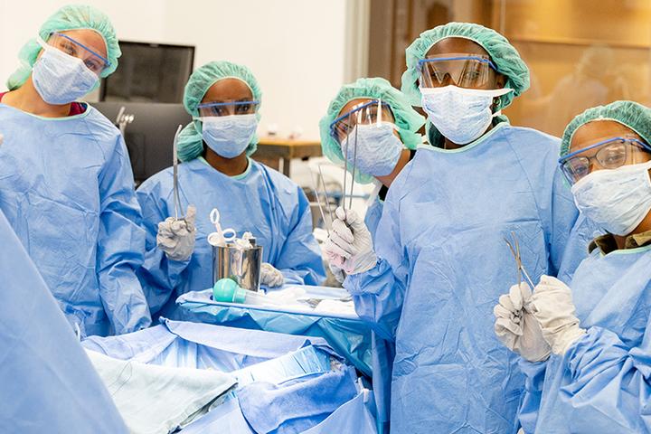 Opening doors to healthcare careers through early exploration