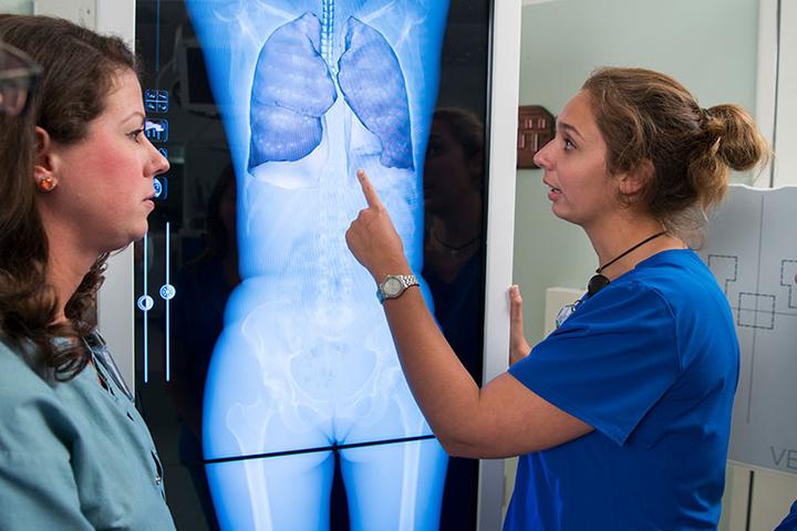 Radiography Program in Florida expands to support imaging needs at Mayo Clinic