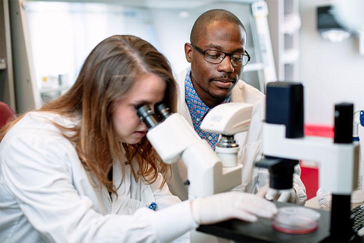 Mayo Clinic Ph.D. Program students reviewing specimens with microscopes