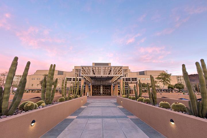 View of the Mayo Clinic Building entrance with cacti surrounding the pathway and a pink-tinted sky in the background.