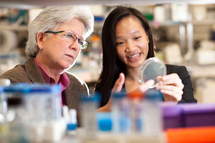 Mayo Clinic researcher examining specimen in laboratory with student