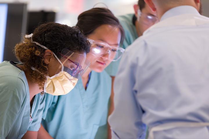 Medical students engage in a clinical anatomy experience.