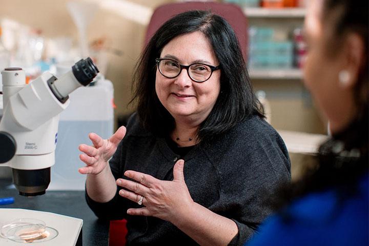 Dr. Schimmenti mentoring a PREP student in the lab at Mayo Clinic in Rochester, Minnesota.