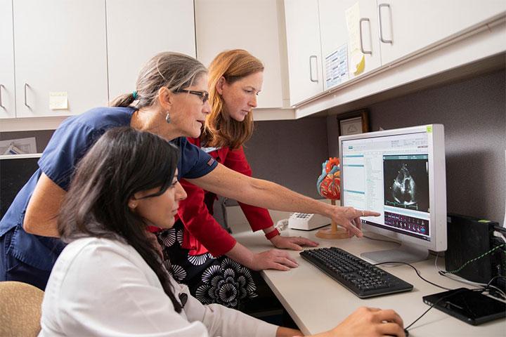 Cardiovascular Diseases fellows look at a model of a heart at Mayo Clinic in Jacksonville, Florida.
