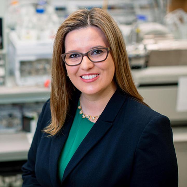 Maria Alice Willrich, Ph.D.