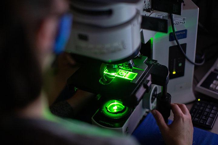 Cytopathology fellow working with a neon green microscope in the lab at Mayo Clinic in Rochester, Minnesota.