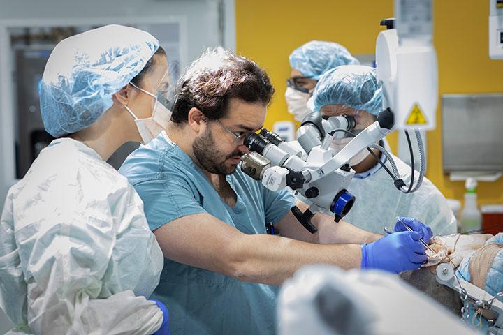 Fellows practicing in the cadaver lab