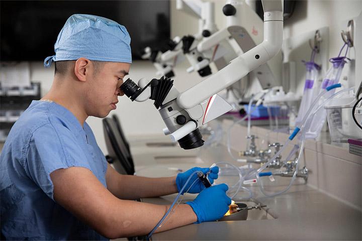 Otolaryngologist looks through a microscope at Mayo Clinic in Jacksonville, Florida.
