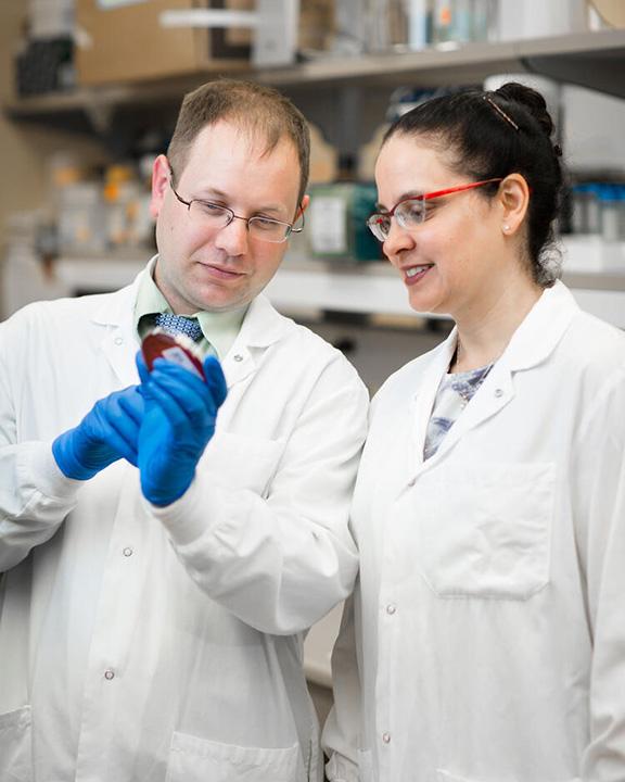 Drs. Thoendel and Patel discussed their observations in a lab.