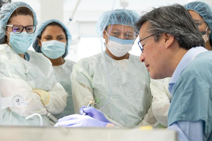 Plastic surgeon residents attending a training session